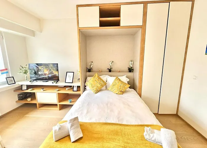 Apartman Stylish In Luxembourg-lux11